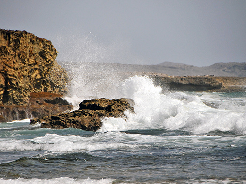 Curacao Boka Tabla Cruise Excursion Tickets