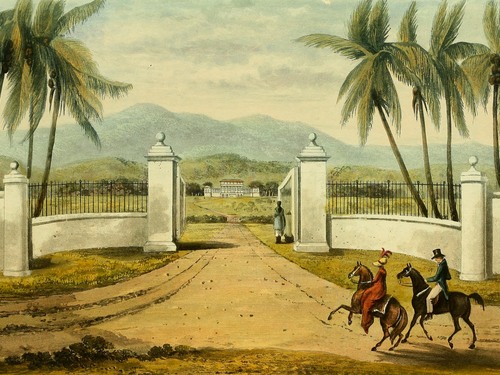Montego Bay  Jamaica white witch Annie Palmer Trip