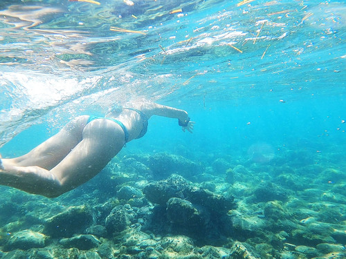 Antigua  St. John's Swimming Tour Tickets