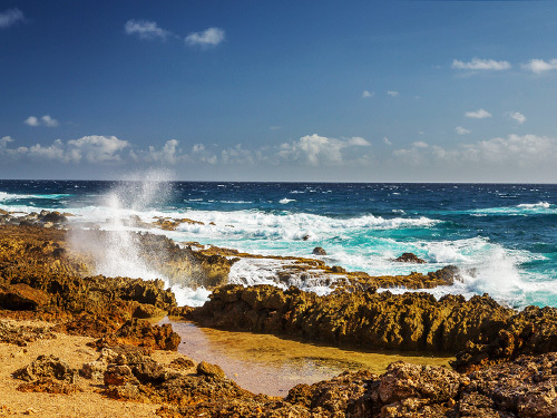 Aruba ATV Rental Full Day or Half Day