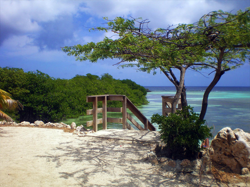 Oranjestad Bushiribana Mine UTV Cruise Excursion Reservations