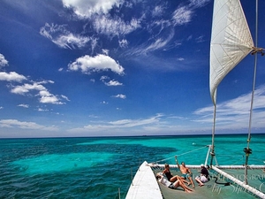 Aruba Catamaran Sailing and Shipwreck Snorkel Excursion with Open Bar