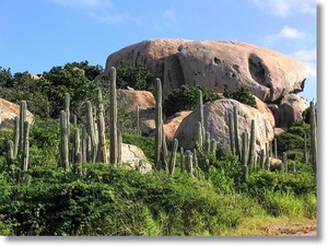 Aruba Highlights and Beach Exploration Excursion