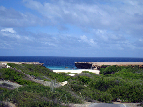 Oranjestad Off road UTV Cruise Excursion Cost