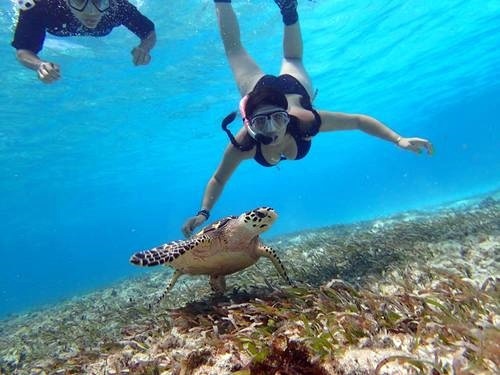 private catamaran in aruba aruba private snorkel boat charter excursion aruba private catamaran in aruba aruba private snorkel boat charter excursion aruba
