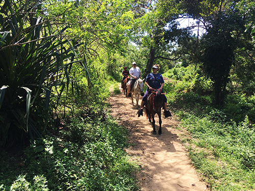 Roatan shopping Excursion Tickets