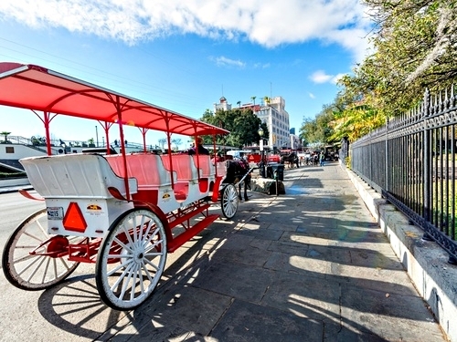 New Orleans Garden District Tour Reviews