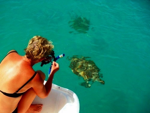Barbados bridgetown Snorkel with turtles Cruise Excursion Tickets