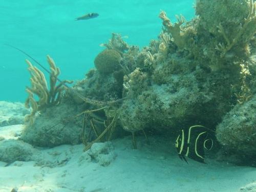 Nassau private boat Trip Prices