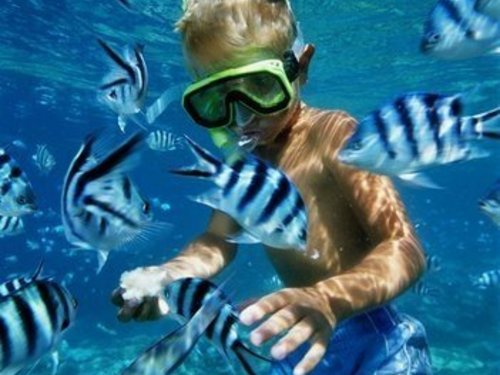 Barbados Bridgetown catamaran sail and snorkel Excursion Booking