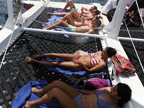 Barbados Bridgetown snorkel shipwrecks Shore Excursion Booking