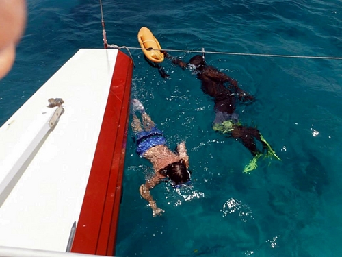 Barbados catamaran sail and snorkel Tour Reservations