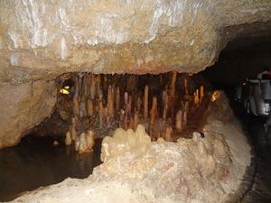 Barbados Harrison Cave Excursion