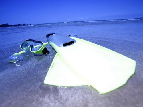 Barbados snorkel shipwrecks Shore Excursion Booking