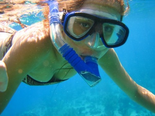 Barbados West Indies sail and snorkel Tour Reviews
