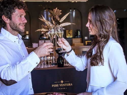 Barcelona vineyards full day Tour Reservations