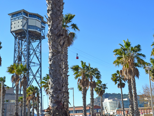 Barcelona Columbus Shore Excursion Reviews