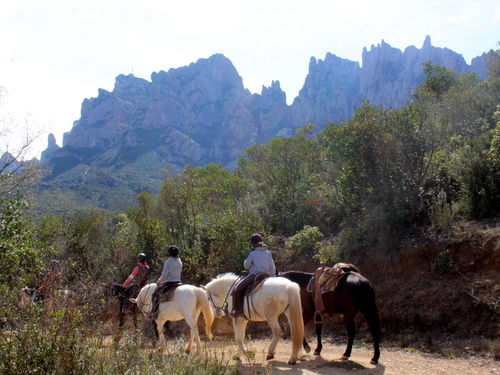 Barcelona montserrat cable car horseback riding Excursion Prices