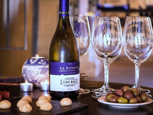 Barcelona wine tasting full day Cruise Excursion Prices