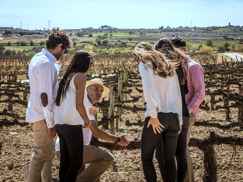 Barcelona vineyards full day Cruise Excursion Prices