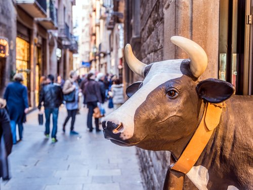 Barcelona  Spain wine tasting wallking Tour Cost