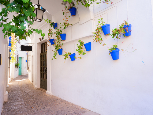 Barcelona  Spain La Pedrera Shore Excursion Reviews