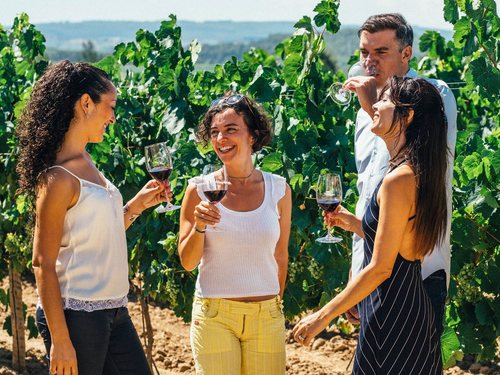 Barcelona wine tasting Shore Excursion Cost