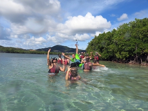St. Thomas manglar reef Trip Booking