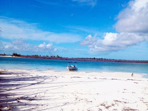 Freeport Bahamas Blue Hole Snorkeling Shore Excursion Reservations