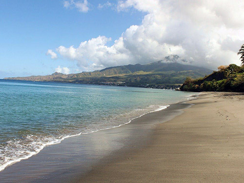 The Neisson Rumery in Martinique - Tourcrib