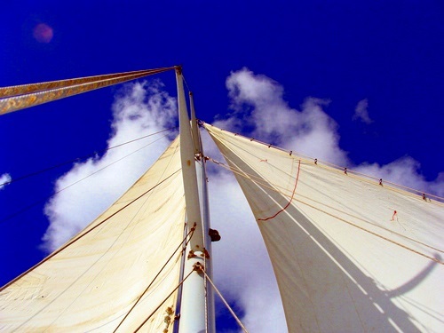 Bonaire sailboat Excursion Reviews