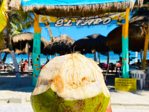 Costa Maya All Inclusive Barefoot Beach Club Day P Costa Maya Mexico Mahahual All Inclusive Beach Club Excursion Reviews