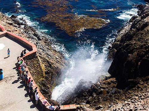 Ensenada  Mexico atv Shore Excursion Reviews