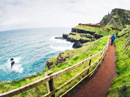 Belfast Giants Causeway and Highlights Excursion