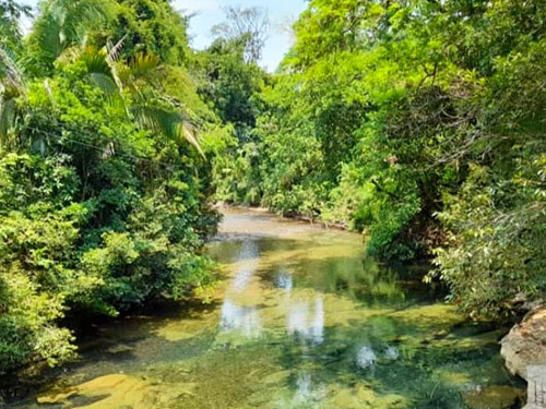 Belize atv and canopy Excursion Cost