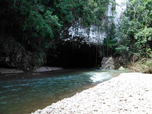 Belize atv and canopy Shore Excursion Booking