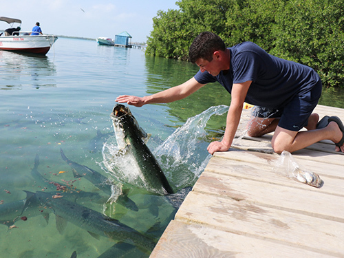 Belize Belize City Fun Snorkeling Trip Reservations