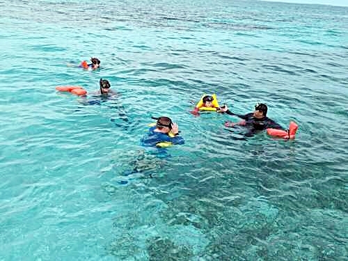 Belize Tarpon Feeding Snorkeling Shore Excursion Reservations