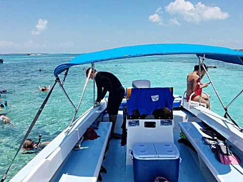Belize Belize City Tarpon Feeding Snorkeling Trip Prices