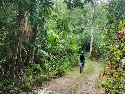 Belize Belizean Lunch Cultural Shore Excursion Prices