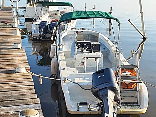 Belize Belize City Tropical Fish Snorkeling Trip Reservations