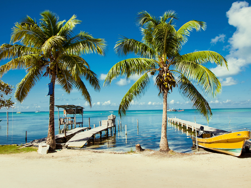 Belize Coral Gardens and Shark Ray Alley Snorkel Adventure Excursion