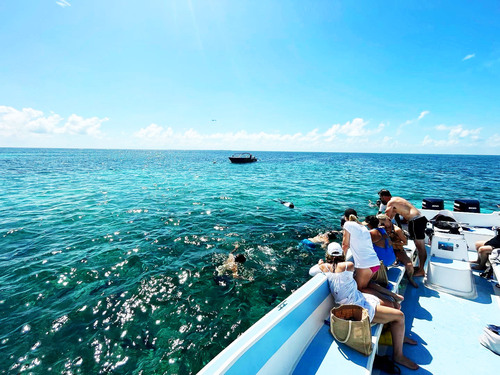 Belize Coral Gardens and Shark Ray Alley Snorkel Adventure Excursion