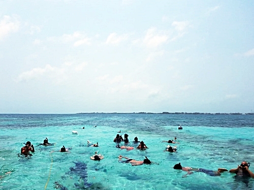 Belize Belize City Caye Caulker Snorkeling Tour Tickets