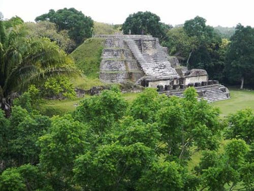 Belize Altun Ha Cruise Excursion Booking