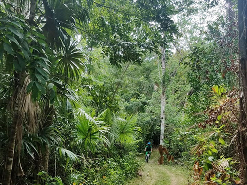 Belize Belize City Mountain Bike Biking Trip Prices