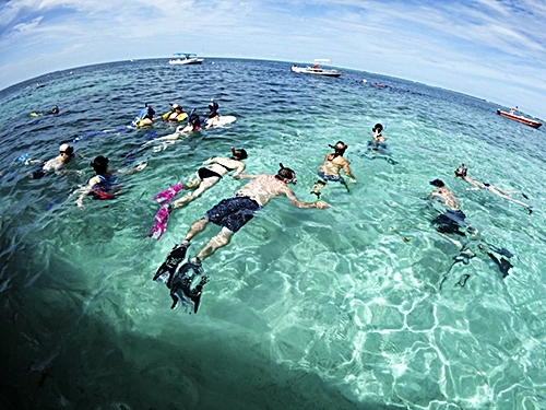 Belize Tropical Fish Snorkeling Trip Reviews