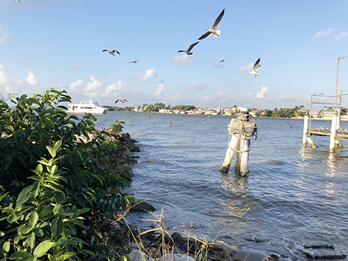 Belize Rice and Meat Shore Excursion Reservations