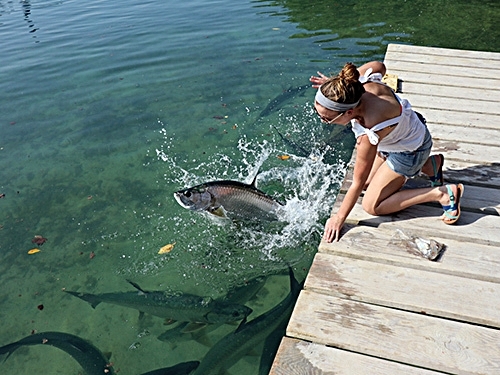 Belize Hol Chan Marine Reserve & Shark Ray Alley Snorkel Excursion Adventure with Caye Caulker Island Beach Break