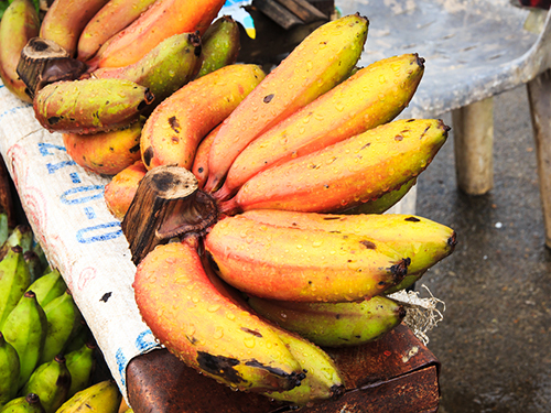 Belize Souvenirs Shore Excursion Reviews